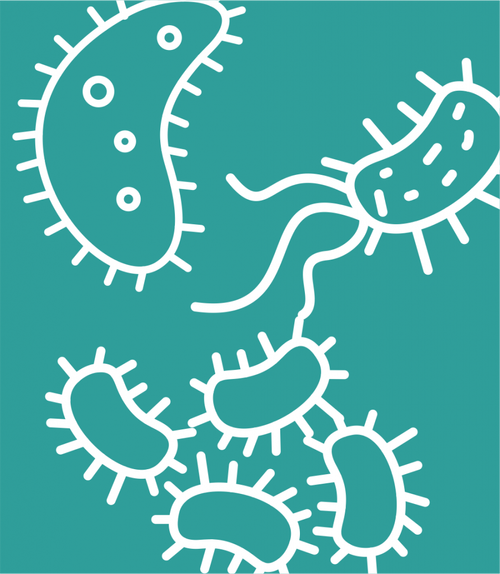 STI Screening